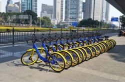 【详细教程】拉萨市有哪些公司_哔哩哔哩-3